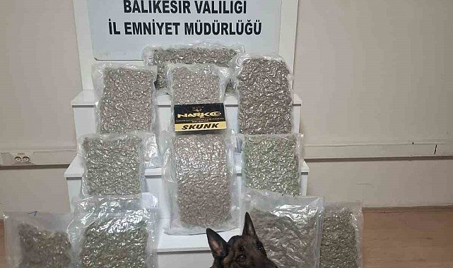 Balıkesir'de 12 kilo esrar ele geçirildi