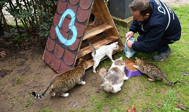 Balıkesir'de patili dostlara sıcak yuva