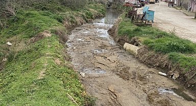 Bandırma'da dere kirliliği tepkiye neden oldu