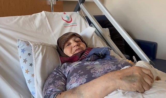 Başıboş köpekler 66 yaşındaki kadını yaraladı