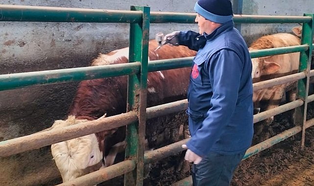 Beyşehir'de hayvan sağlığı için seferberlik