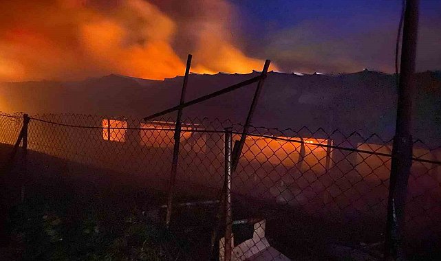 Bilecik'te tavuk çiftliğinde korkutan yangın