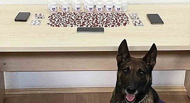 Binlerce uyuşturucu hapla yakalanan 2 şüpheli tutuklandı