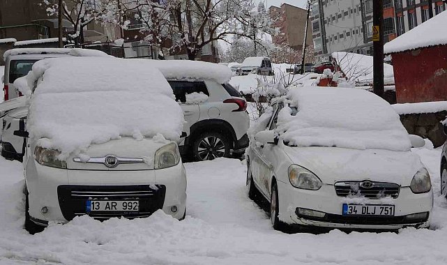 Bitlis'te kar yağışı: 80 köy yolu ulaşıma kapandı