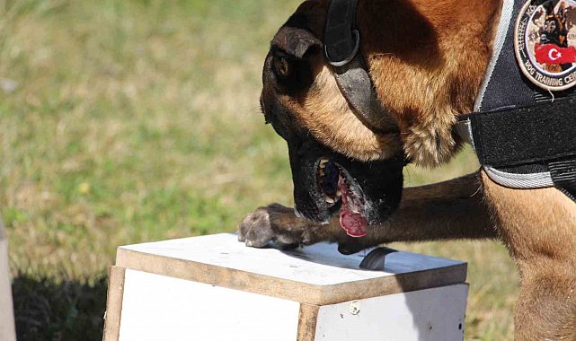 Bolu'da 7 farklı uyuşturucu operasyonu: 3 tutuklama