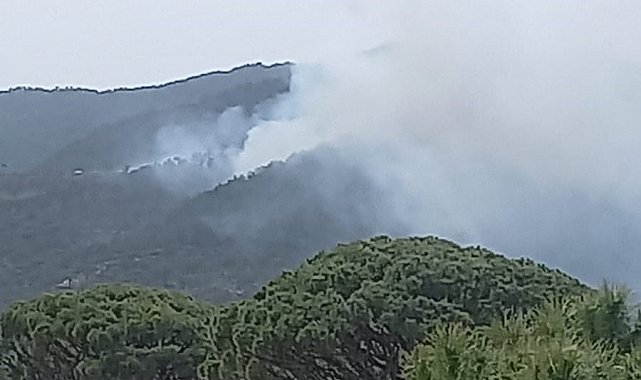 Bozdoğan'da orman yangını