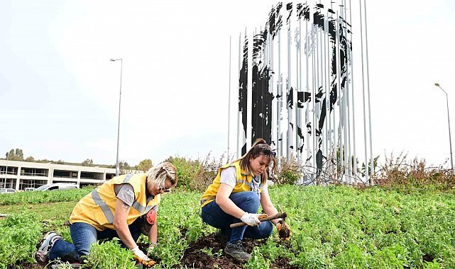 Büyükşehir Aydın'ı doğanın yeşil tonları ile süslüyor