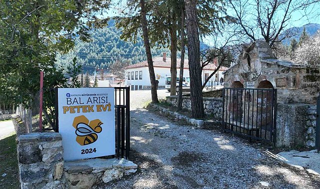 Büyükşehir Belediyesinin Bal Arısı Petek Evi açılışa hazırlanıyor