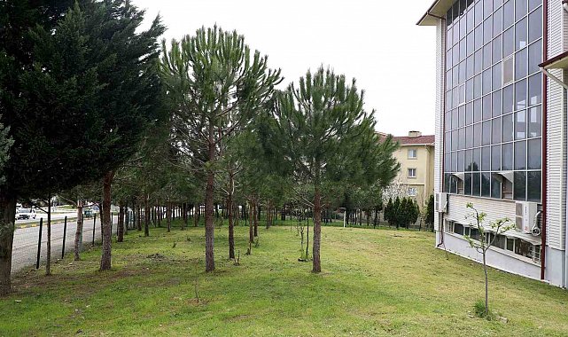 Camilerde bayram temizliği