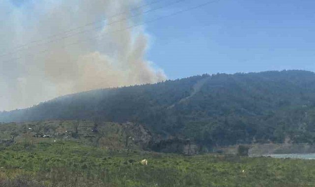 Çanakkale'de orman yangını