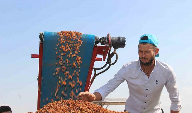 Çekirdeksiz kuru üzümde ihracat yüzde 13 arttı