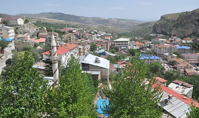 Çemişgezek'te koyun-keçi çiçek hastalığı görüldü