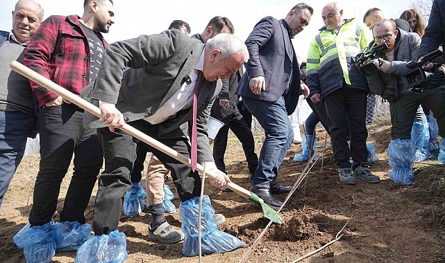 Çiftçiye destek için 6 dekarlık alana ahududu dikildi