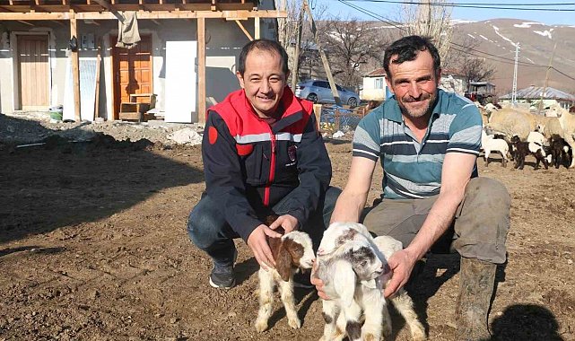 Devlet desteği Erzincanlı çiftçilere umut oldu