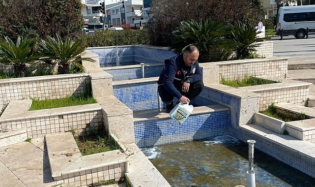 Didim'de süs havuzları bakıma alındı