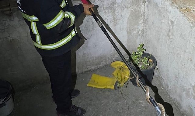 Dörtyol'da eve giren yılanı itfaiye yakaladı