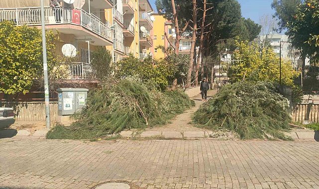 Efeler Belediyesi'nden budama atıkları uyarısı