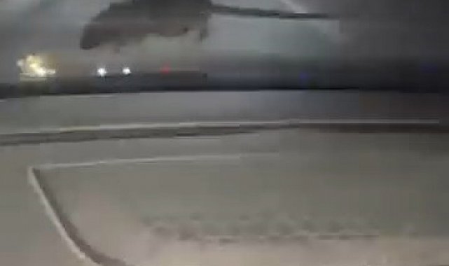 Elazığ'da seyir halindeki otomobilin ön camına 'fare' kondu