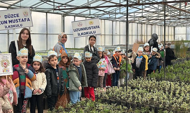 Enerji dostu mavi yeşil okul