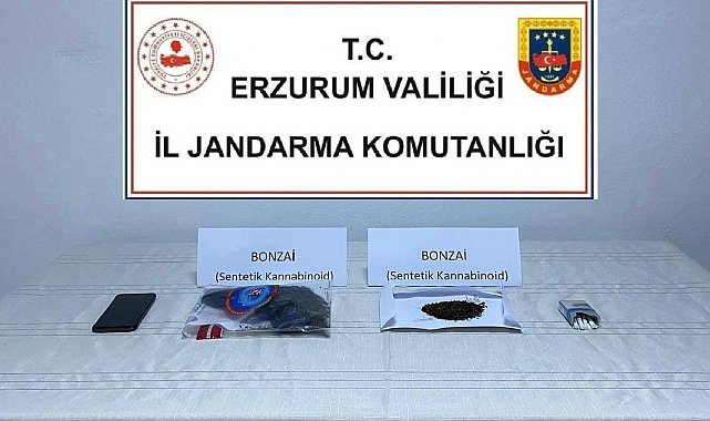 Erzurum'da uyuşturucu tacirlerine operasyon