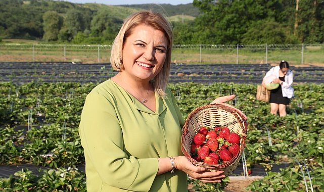 Eski özel kalem müdüründen Fatma Kaplan Hürriyet için şok iddialar: