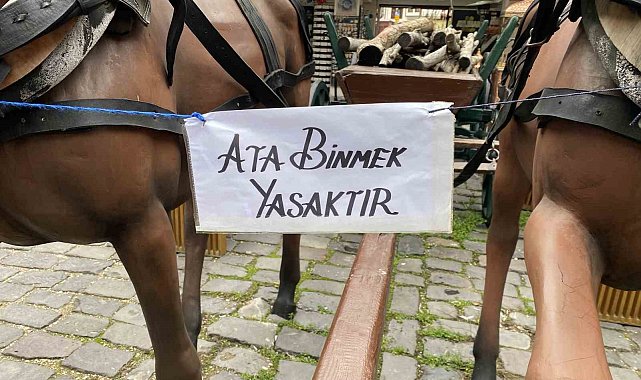 Eskişehir'deki "Ata binmek yasaktır" uyarısı dikkat çekiyor