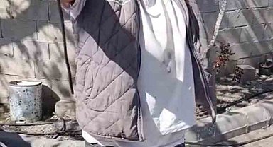 Eve giren yavru yılanı vatandaşlar yakaladı