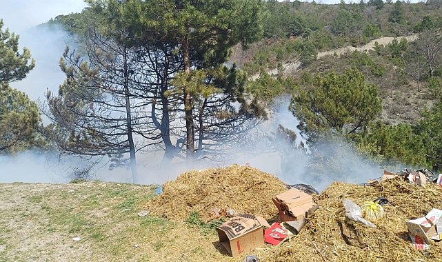 Gediz'deki orman yangını kontrol altına alındı