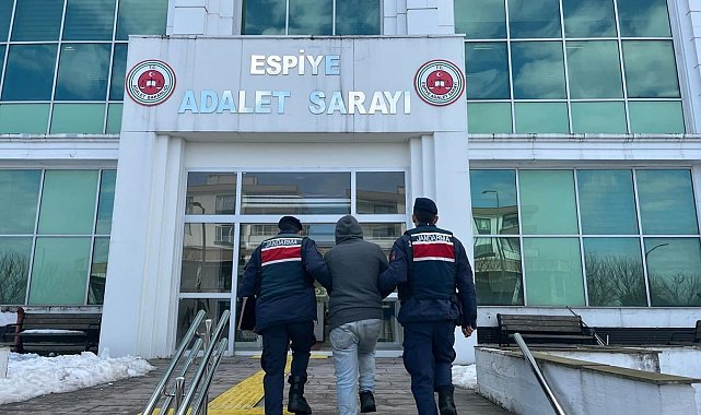 Giresun'da aranan şahıslara yönelik operasyon: 125 kişi yakalandı