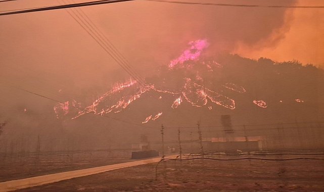 Güney Kore'deki orman yangınları yayılmaya devam ediyor: 14 bin 694 hektarlık alan küle döndü