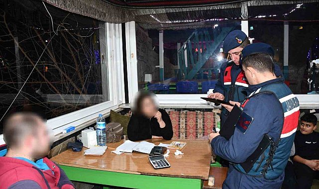 Jandarmadan Bozdoğan'da 'ŞOK' uygulaması