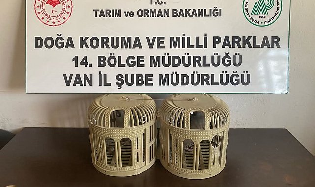 Kafesle kaçak avcılık yapan şahsa 43 bin lira idari para cezası kesilecek