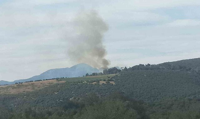 Kahramanmaraş'ta ormanlık alanda çıkan yangın söndürüldü