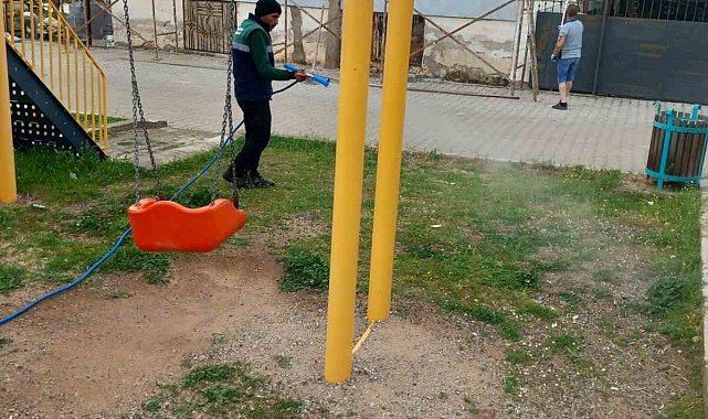 Karacasu'da yabani ot mücadelesi başladı