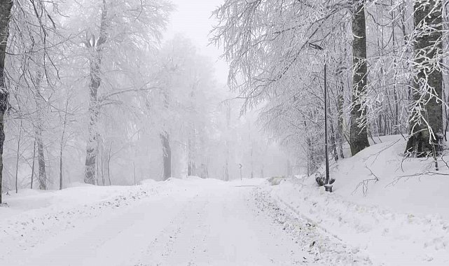 Kartepe'de lapa lapa kar yağışı: O bölge beyaza büründü