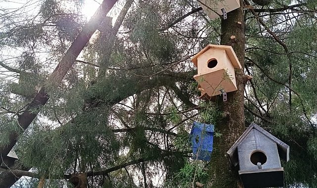 Köyceğizli minikler kuşlar için yuva hazırladı