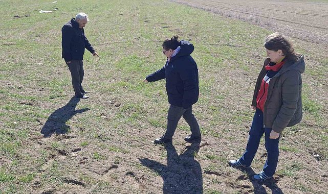 Kütahya'da tarla faresi ile mücadelede arazi kontrolleri