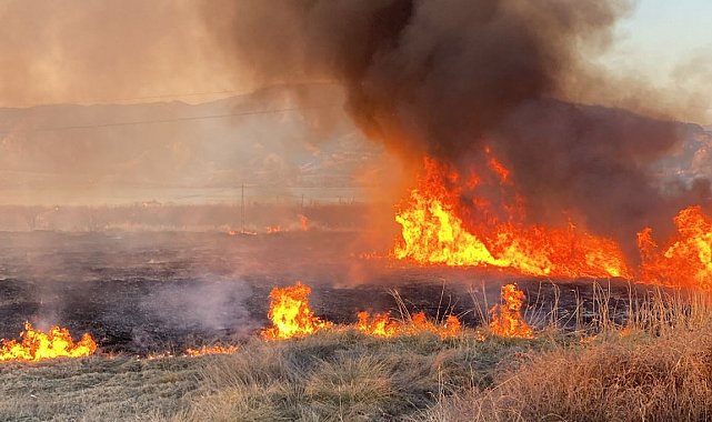 Malatya'da onlarca dönümlük alanda korkutan yangın