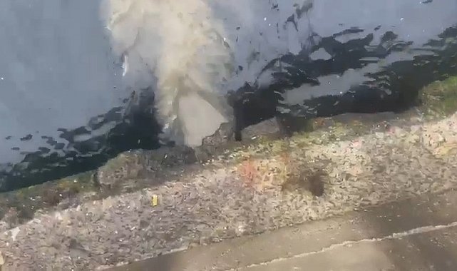 Marmara Denizi'ne atık su deşarj eden İSKİ'ye 2 milyon 600 bin lira ceza