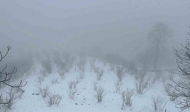 Mart kapıdan baktırdı, kazma kürek yaktırdı