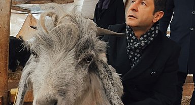 Milletvekili Bulut: "Biz bu ülkenin hayvanına, kuşuna, her şeyine aşığız"