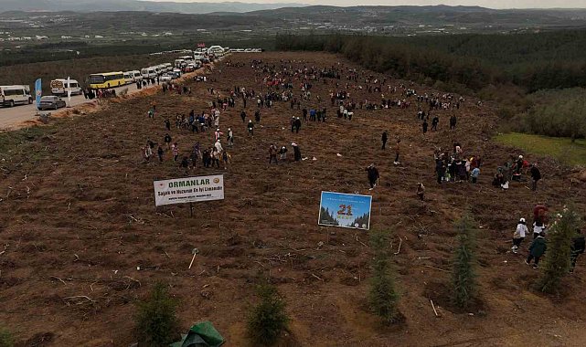 Minik elleriyle fidanları toprakla buluşturdular