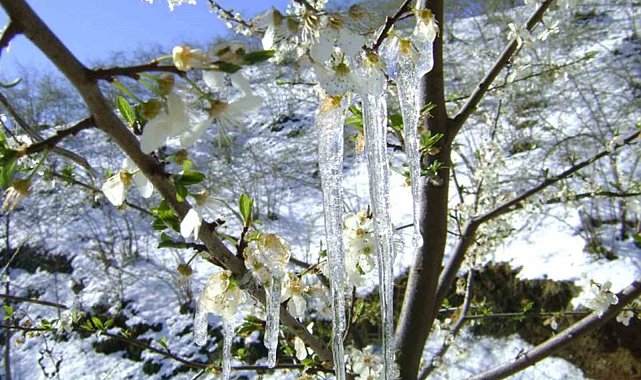 Muğla 19 Mart'tan 24 Mart'a kadar buz tutacak