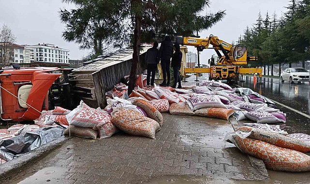 Ordu'da besi yemi yüklü tır devrildi: 1 yaralı