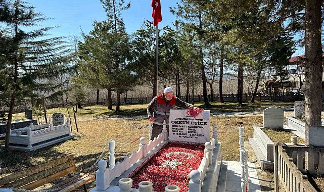Ordu'da şehit mezarlarında bakım çalışmaları yapıldı