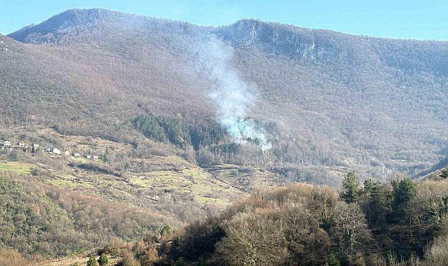 Ormanlık alanda örtü yangını çıktı