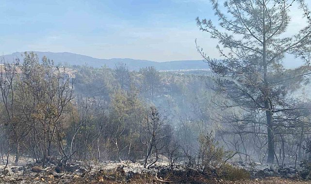 Osmaniye'nin Düziçi ilçesinde çıkan orman yangını söndürüldü