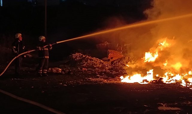 Payas'ta otluk alan yangını