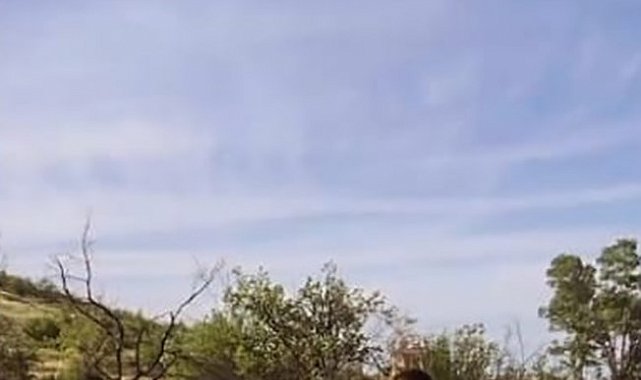 "Bizi kim alabilir" diyerek tüfekle havaya ateş açan 6 kişi gözaltına alındı