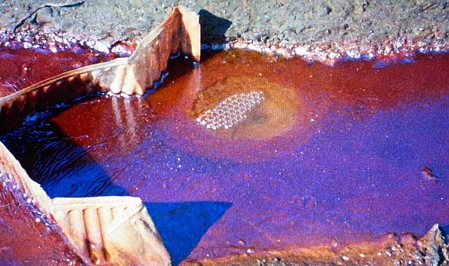 "Bu son şansımız mı?" gösterim programı Salt Beyoğlu'nda gerçekleştirilecek